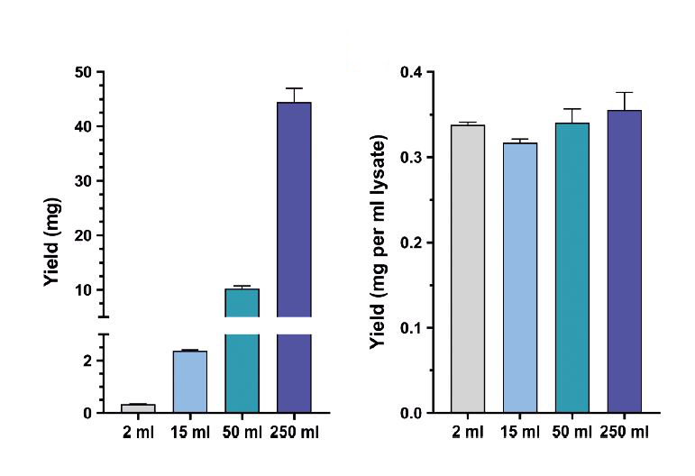 Nanobody fused to twin-strep-tag and purified with magstrep strep-tactinxt beads