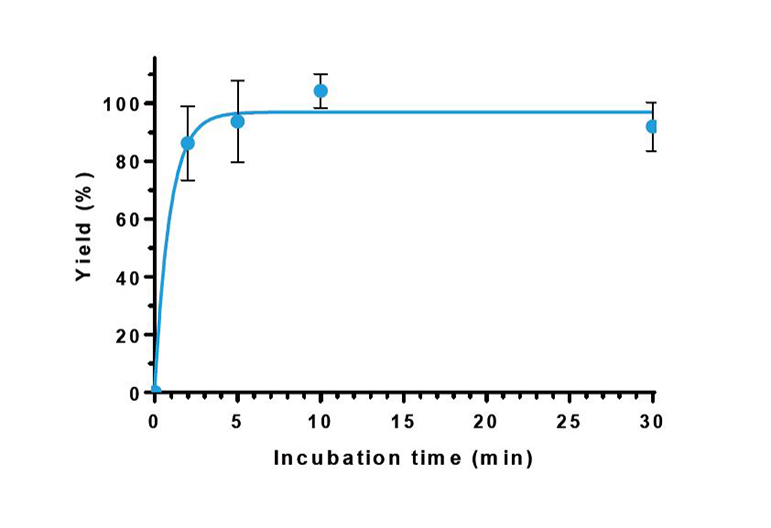 twin-strep-tag incubated with magentic beads