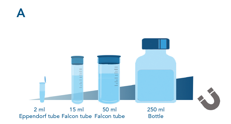 scalable magnetic bead protein purification from small scale to high-throughput sceenings